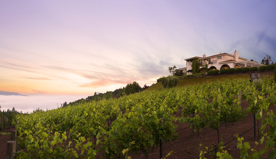 Inspirato, Wine Country Villa DelLuna