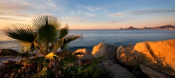 Olamar Cabo View
